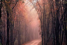 山东、陕西队携手挺进十五运会女篮U18组正赛2025-03-19.