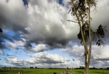 恶意犯规！王钰栋伤退 33岁老将遭全网批评 收了印尼的钱怎么回事？.：玩加电竞