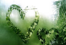 许昕：能直接要一个佳佳这样的孩子吗.