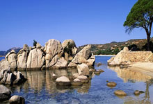 山东、陕西队携手挺进十五运会女篮U18组正赛2025-03-19.